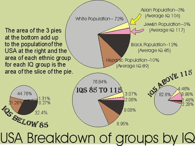 Ethnicity Pie Chart Usa